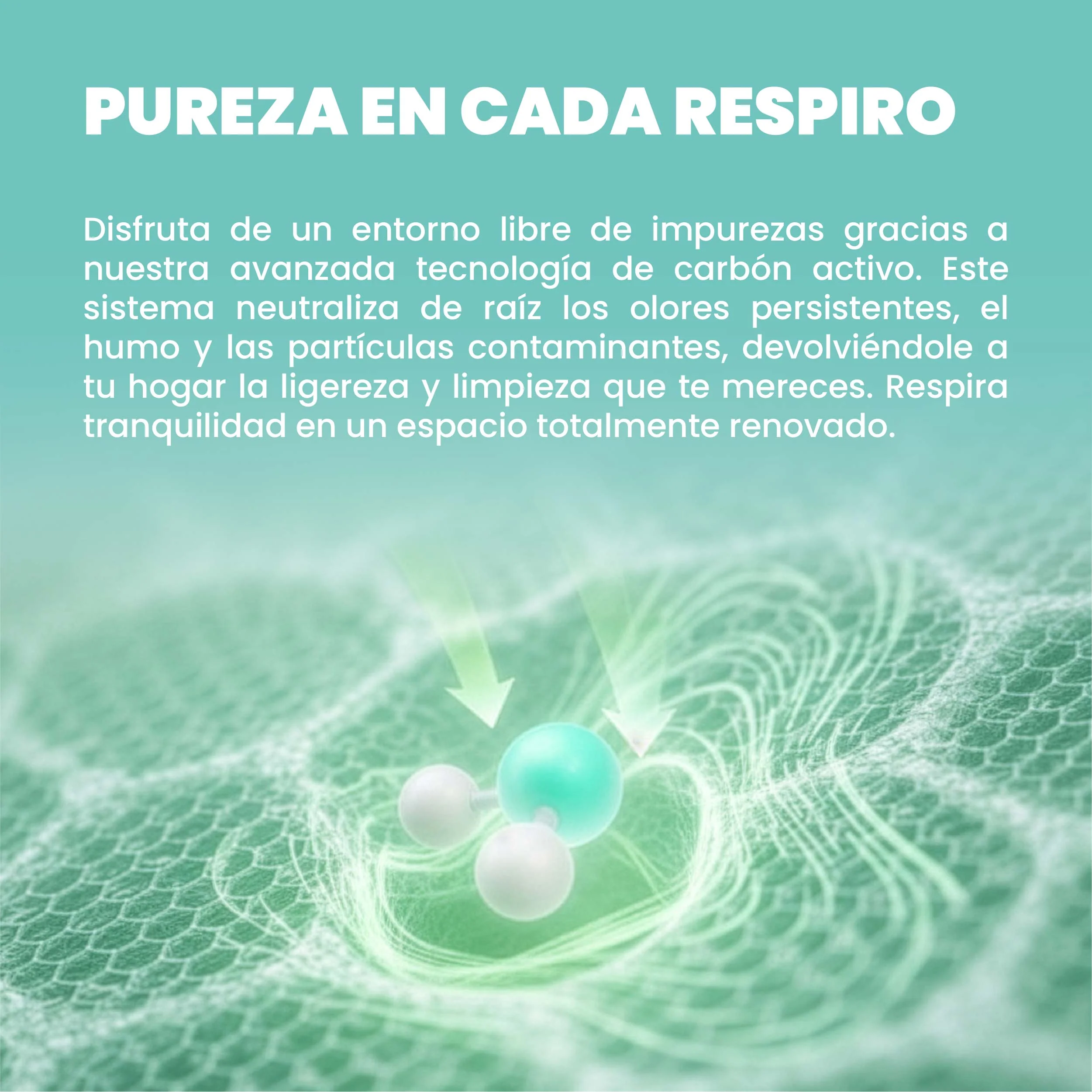 Miniatura 13